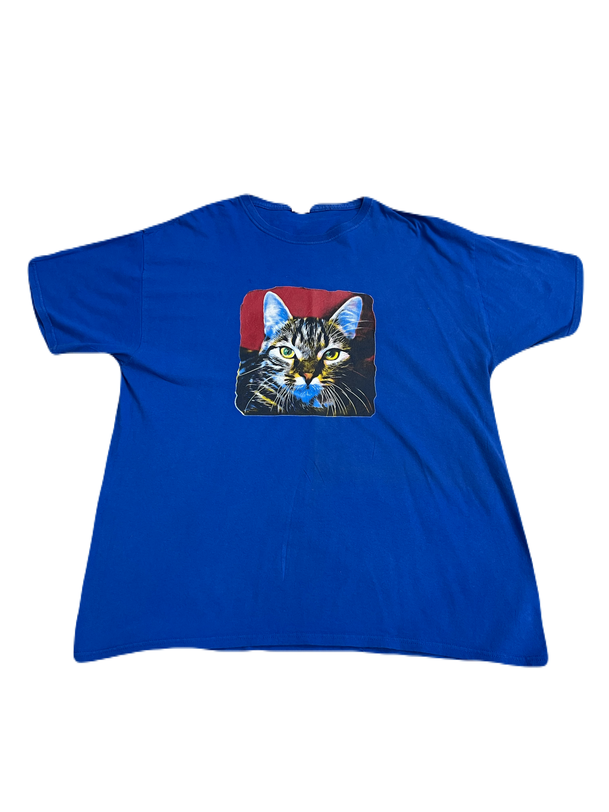 Fruit of the Loom Cat Tee (Extra Large)