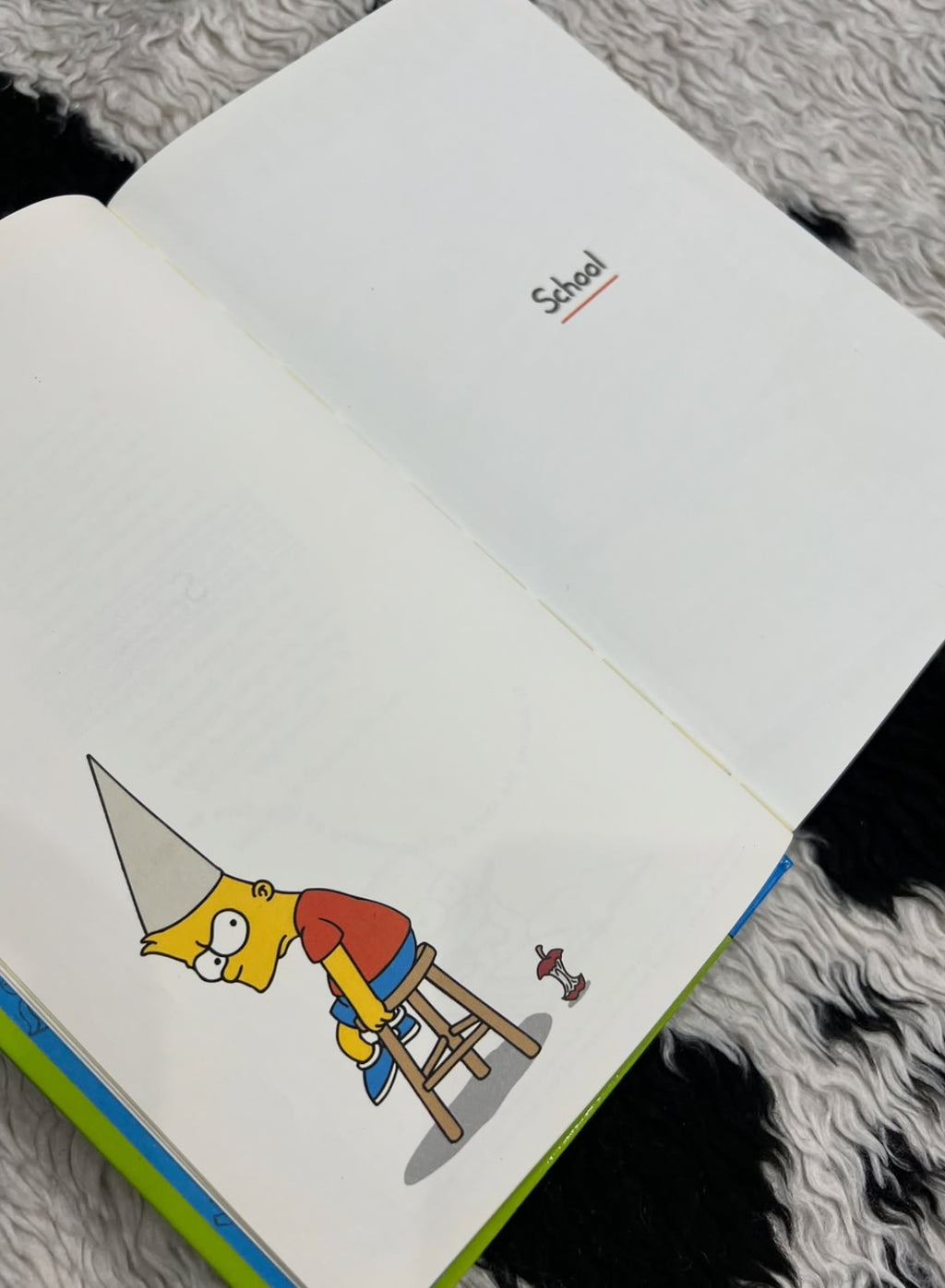 Bart Simpson's "Guide to Life" Book