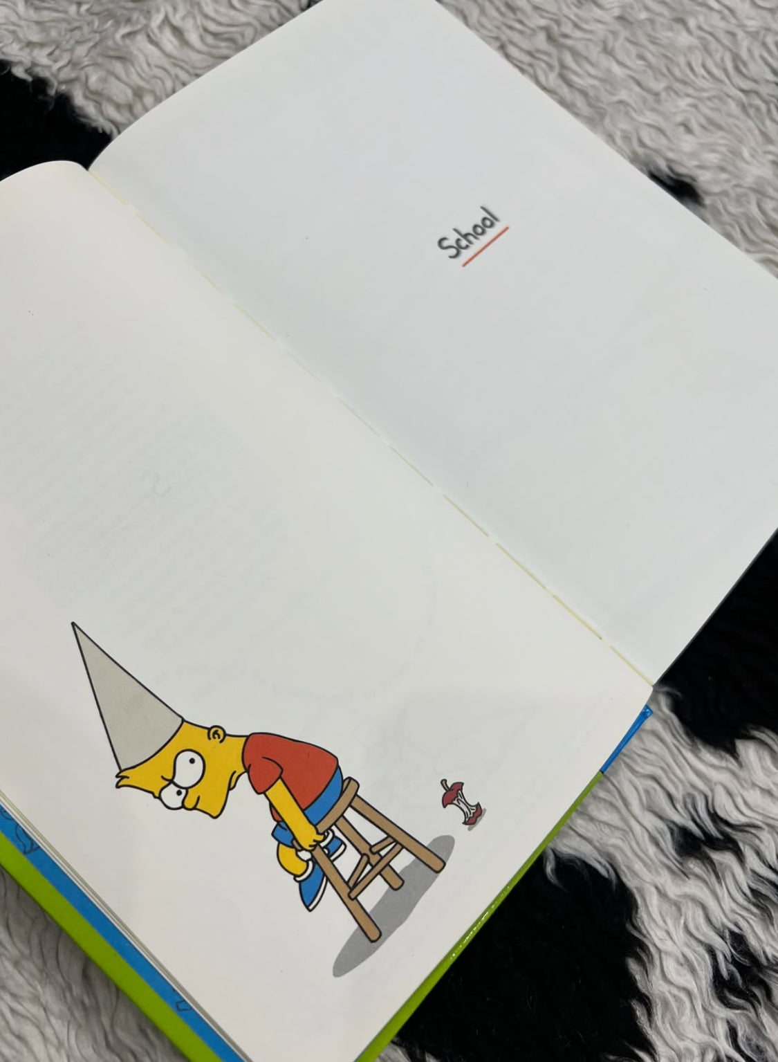 Bart Simpson's "Guide to Life" Book