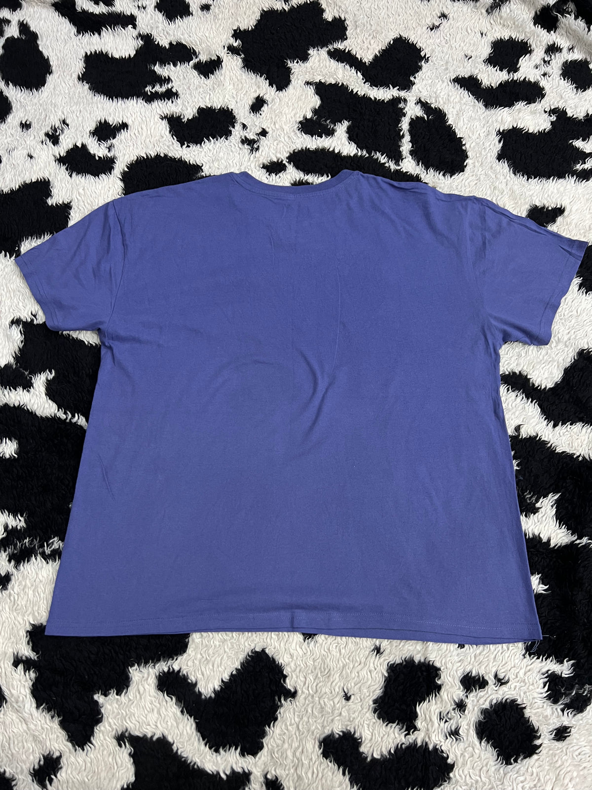 Spongebob Patrick "I Have 3 Dollars" Tee (Extra Large)