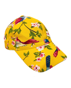 Birds Graphic Cap