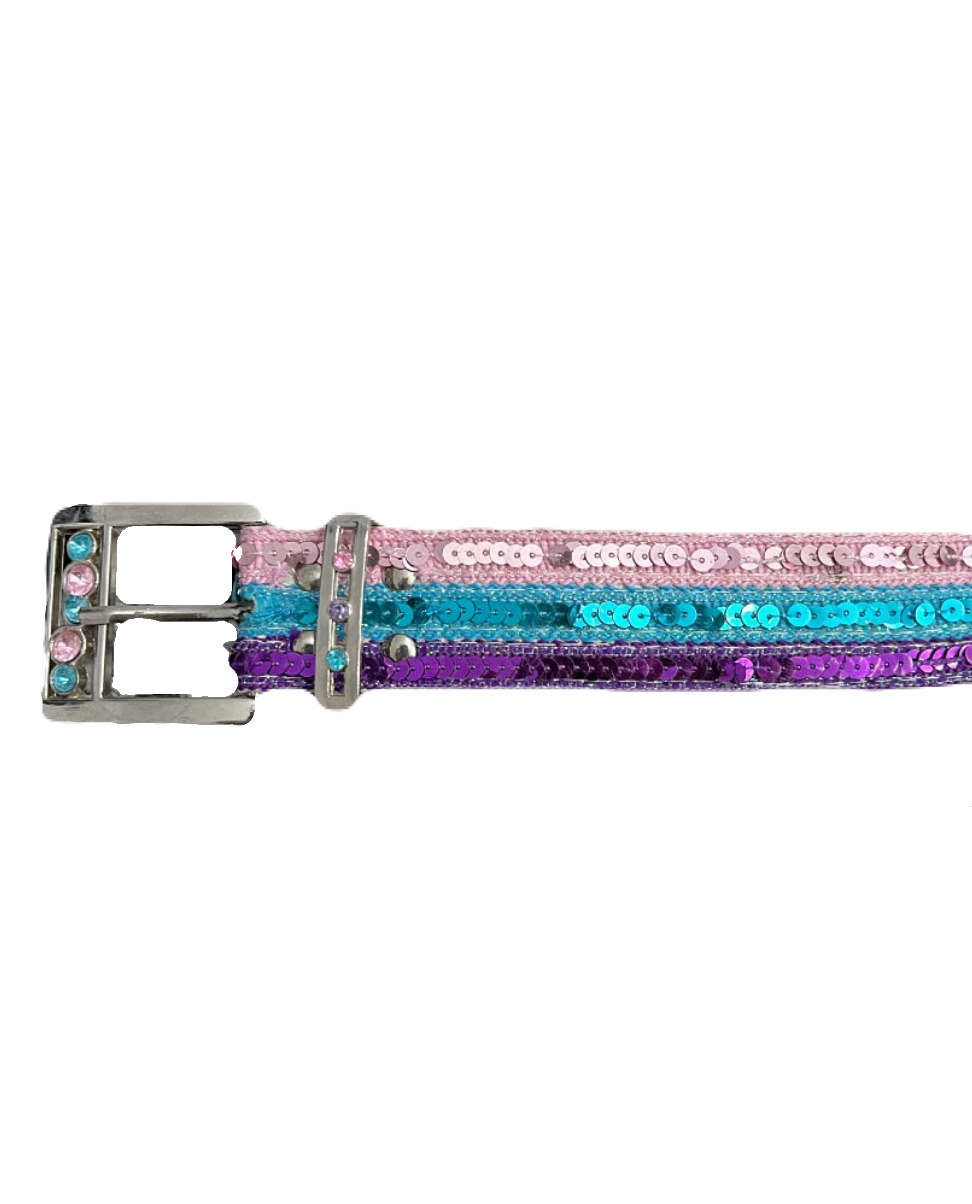 Sparkly y2k Belt