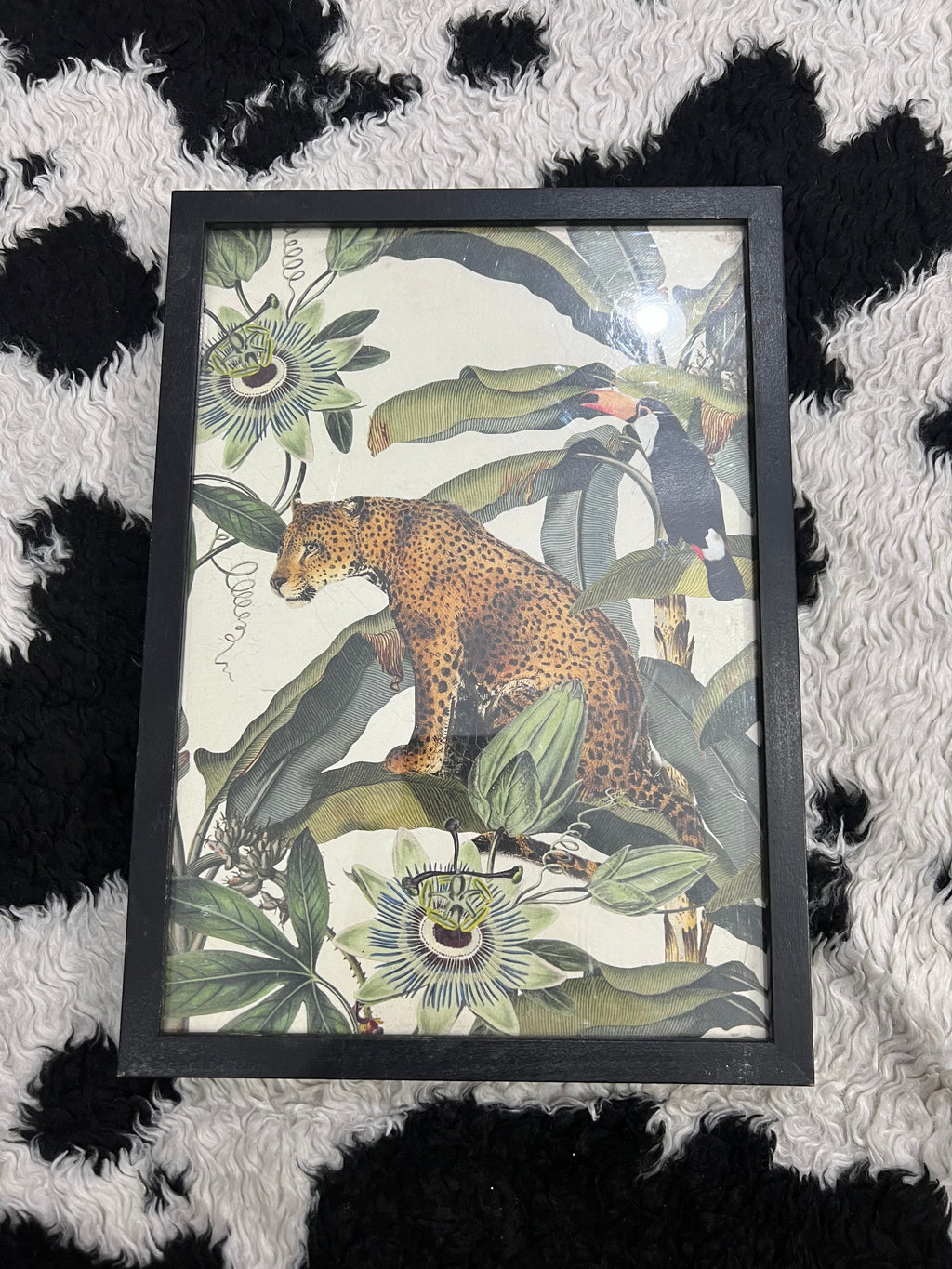 Soil&Co Exotic Leopard Frame