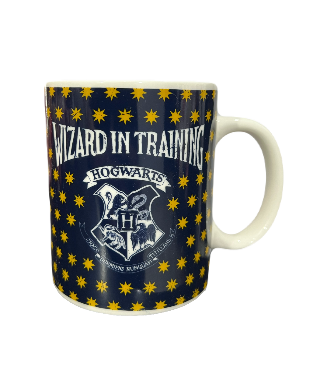 Hogwarts Wizard in Training Harry Potter Mug