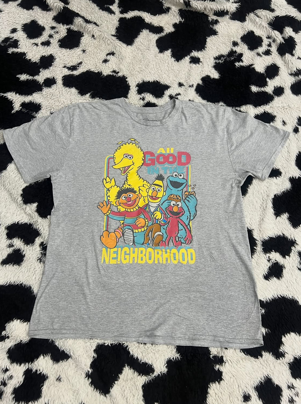 "All Good in the Neighborhood" Sesame Street Tee (Large / Extra Large)