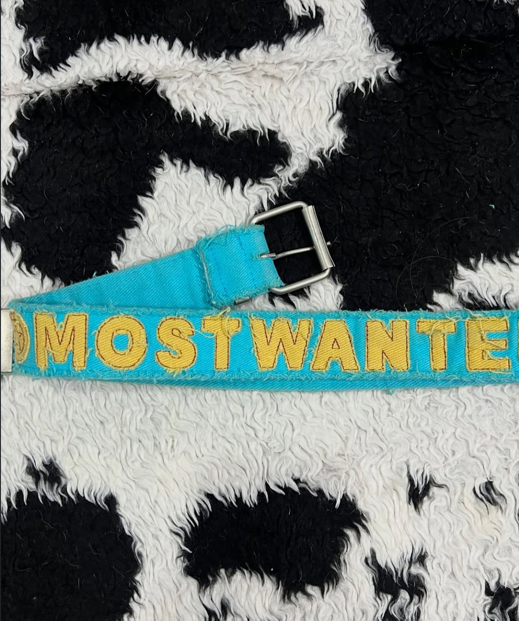 Most Wanted Teal Belt