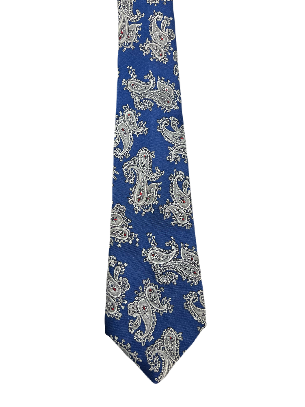 C&A Blue Paisley Tie