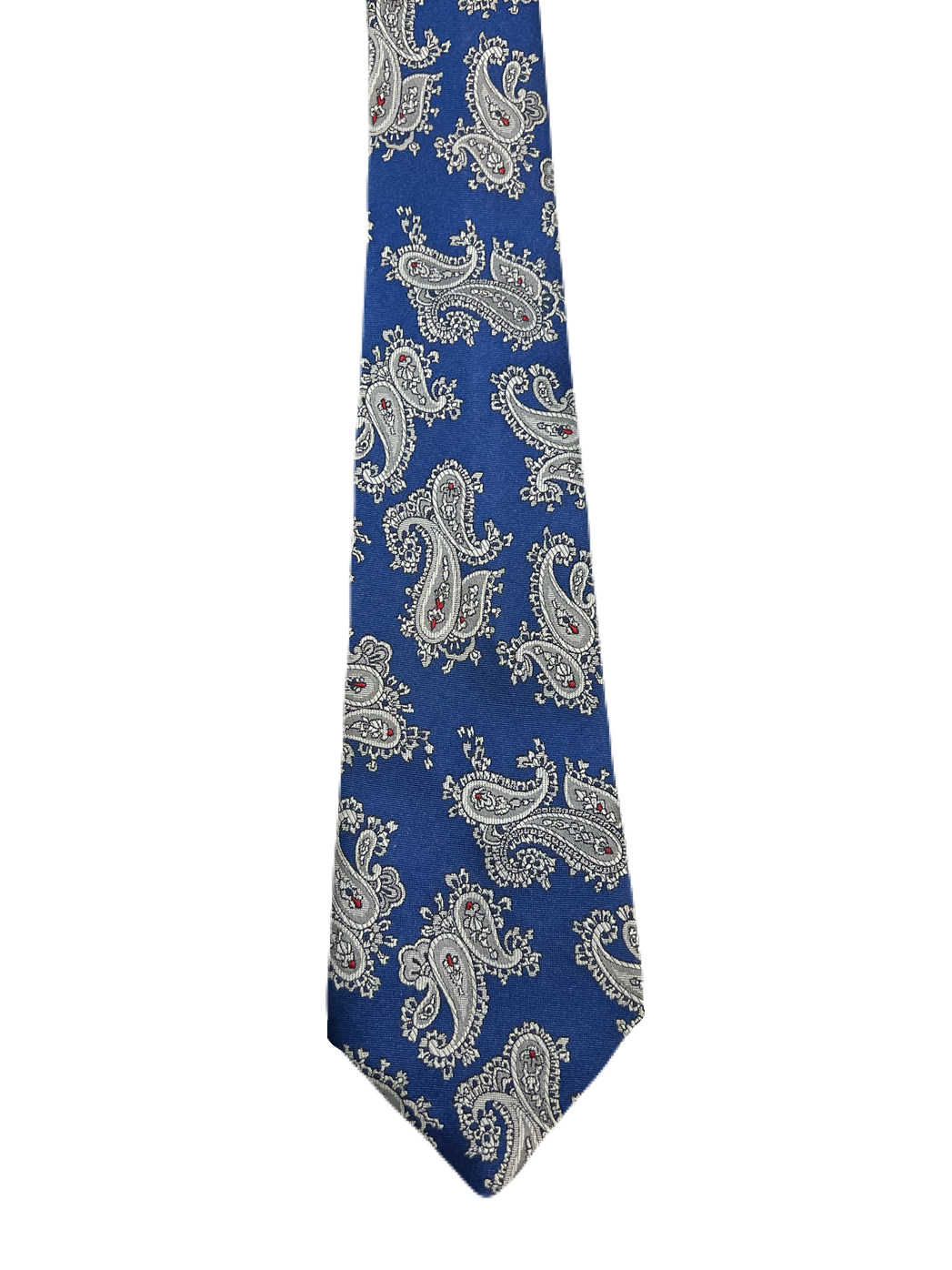 C&A Blue Paisley Tie