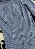 Blue Gingham Reserved Fitted Women's Buttonup