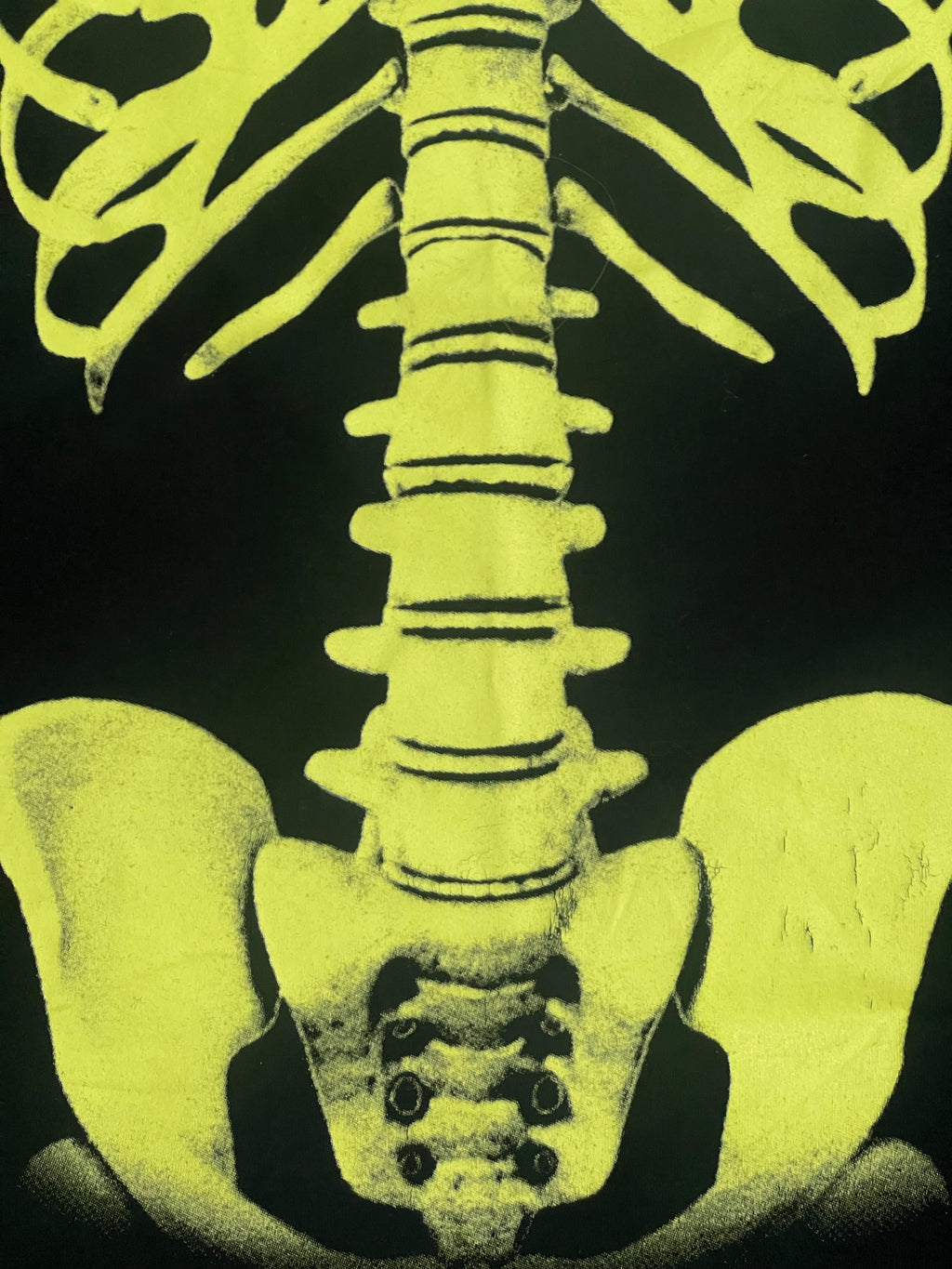 Fruit of the Loom Skeleton Tee (Large)