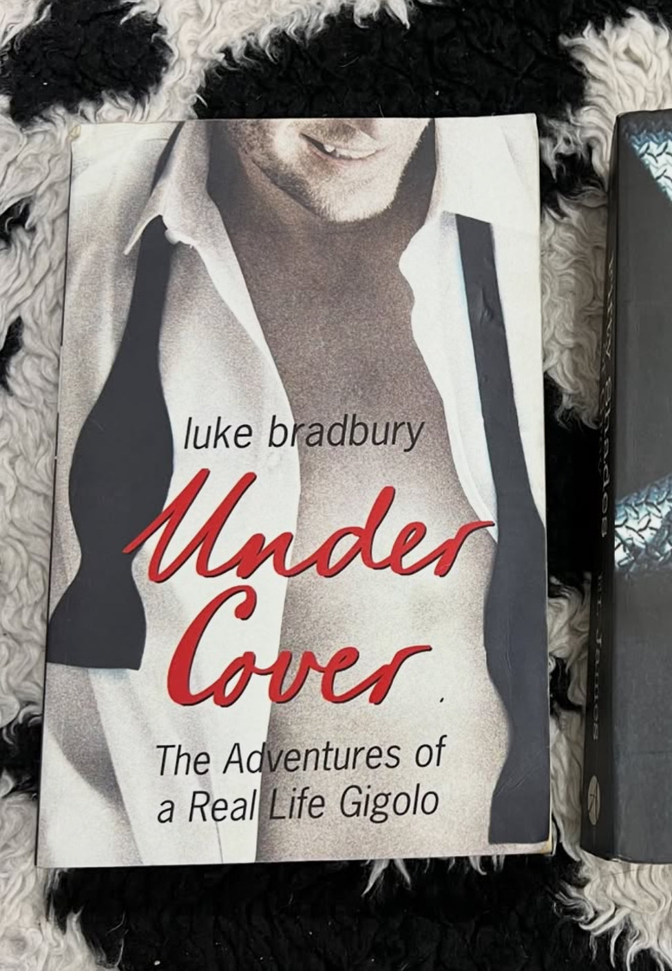 Under Cover Book