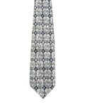 Coins Graphic Tie