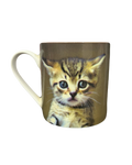 Kitten Graphic Mug