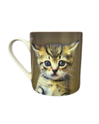 Kitten Graphic Mug