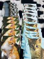 Kittens Cards Set of 20 Card