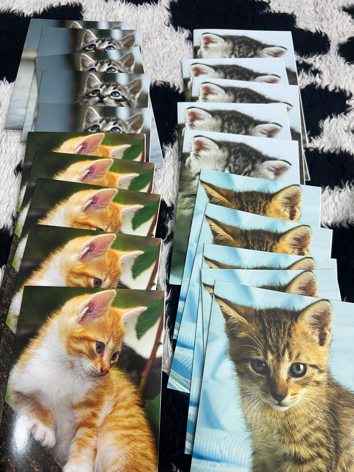 Kittens Cards Set of 20 Card
