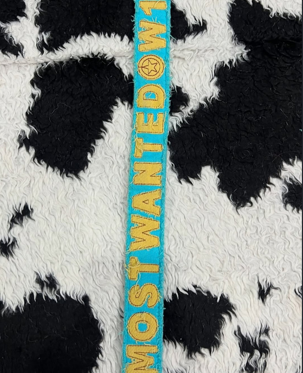 Most Wanted Teal Belt