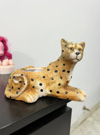 Cheetah Plant Plotter