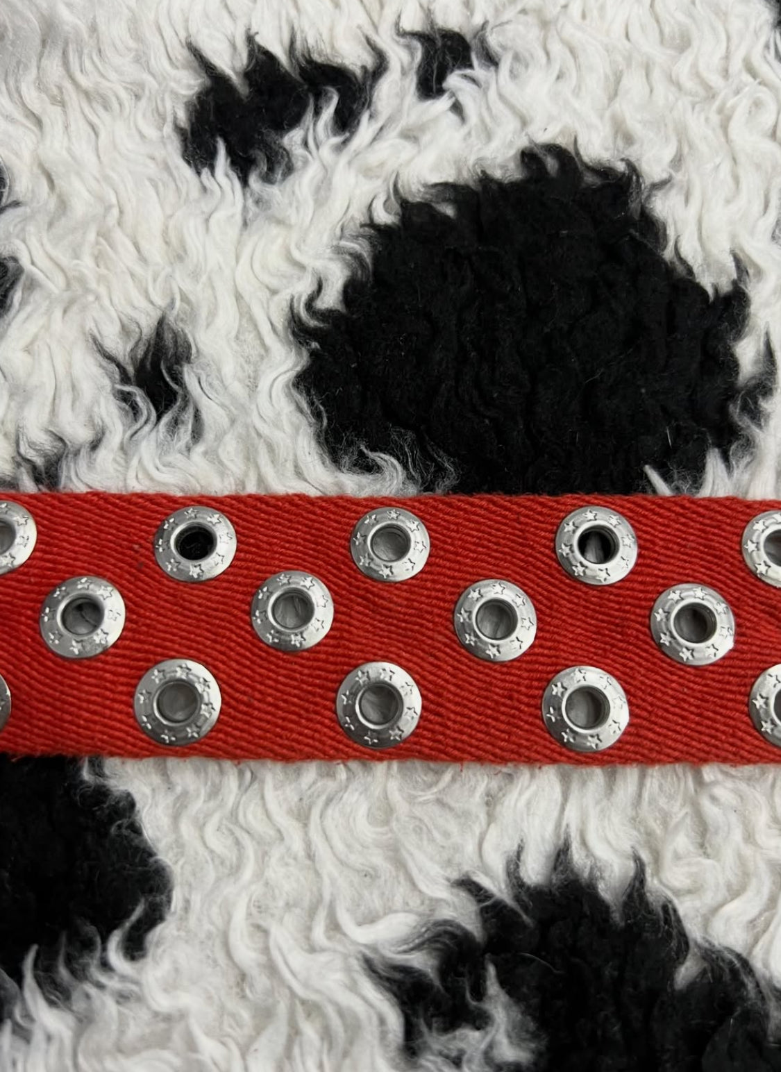 MANGO Star Studded Belt