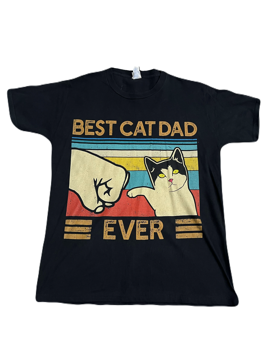 Best Cat Dad Ever Tee (Large)