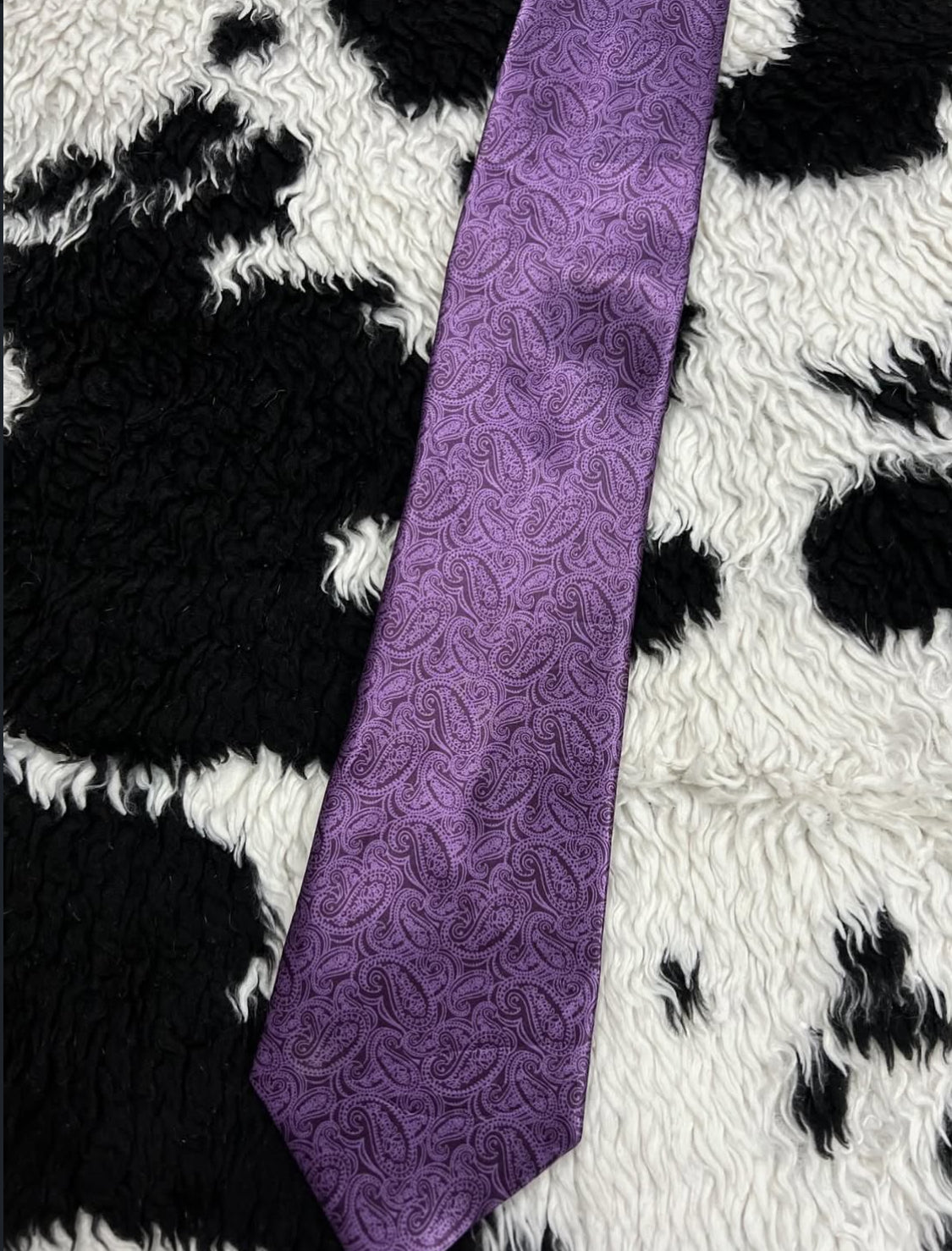 Purple Paisley Tie