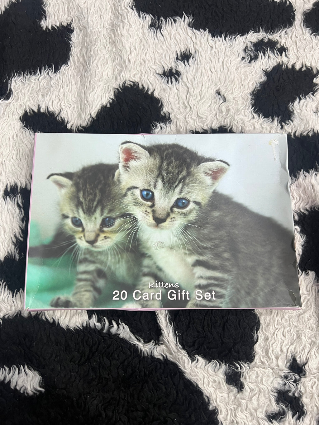 Kittens Cards Set of 20 Card