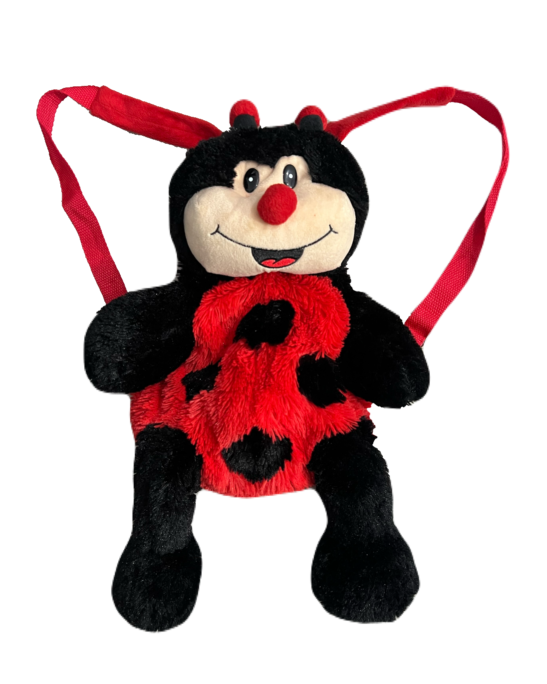 Ladybug Backpack