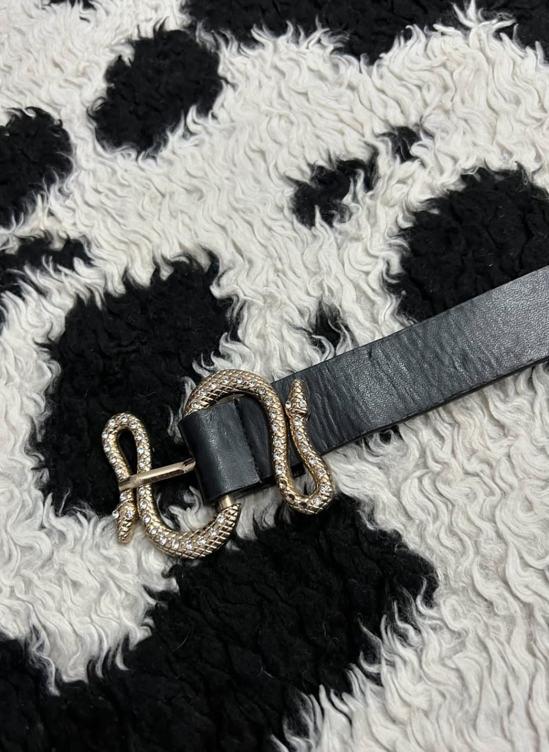 Black Snake Belt