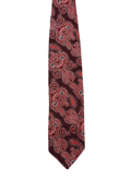 Red & Maroon Paisley Embroidered Tie