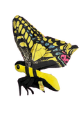 Butterfly Plush