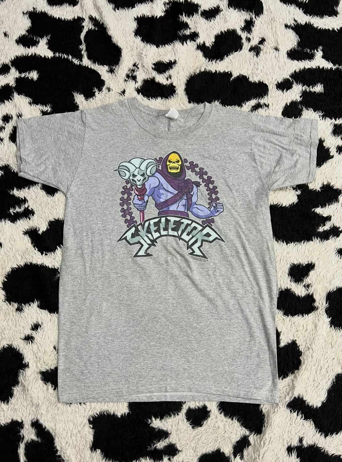 Masters of the Universe Skeletor Tee (Large)