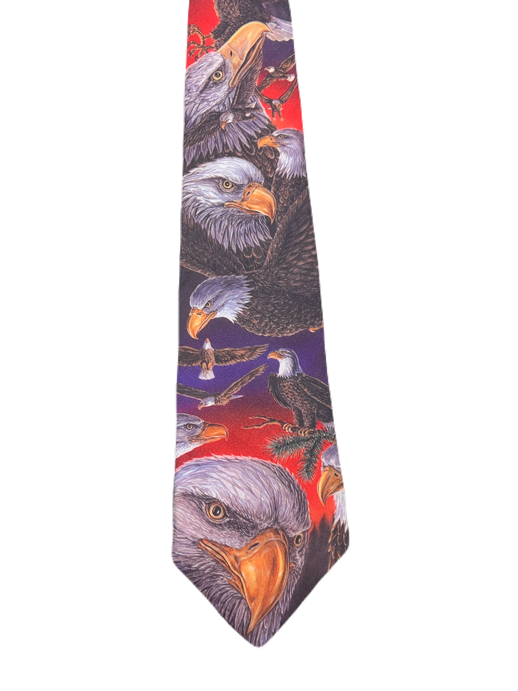 Eagles Graphic Tie