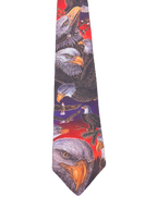 Eagles Graphic Tie