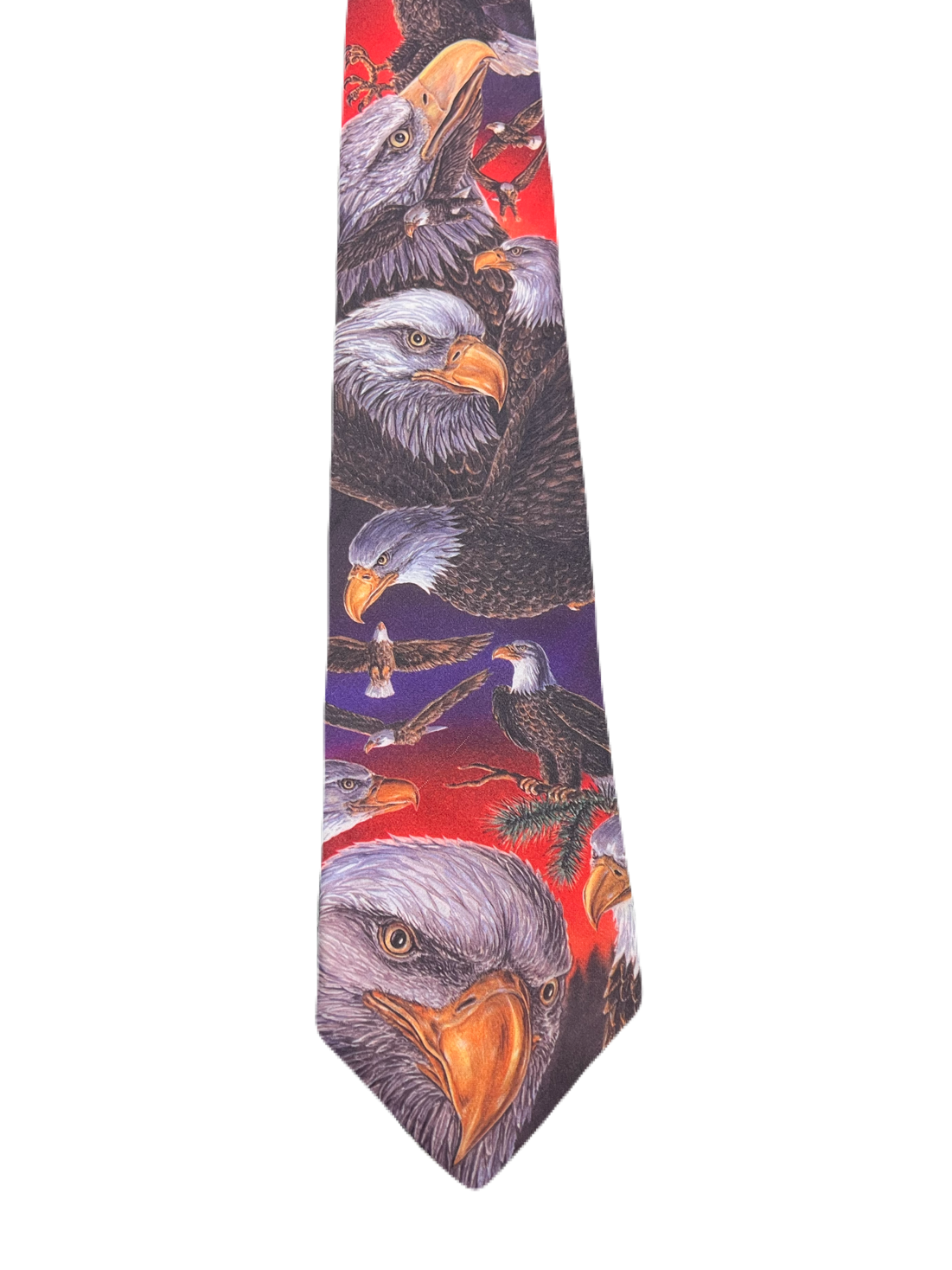 Eagles Graphic Tie