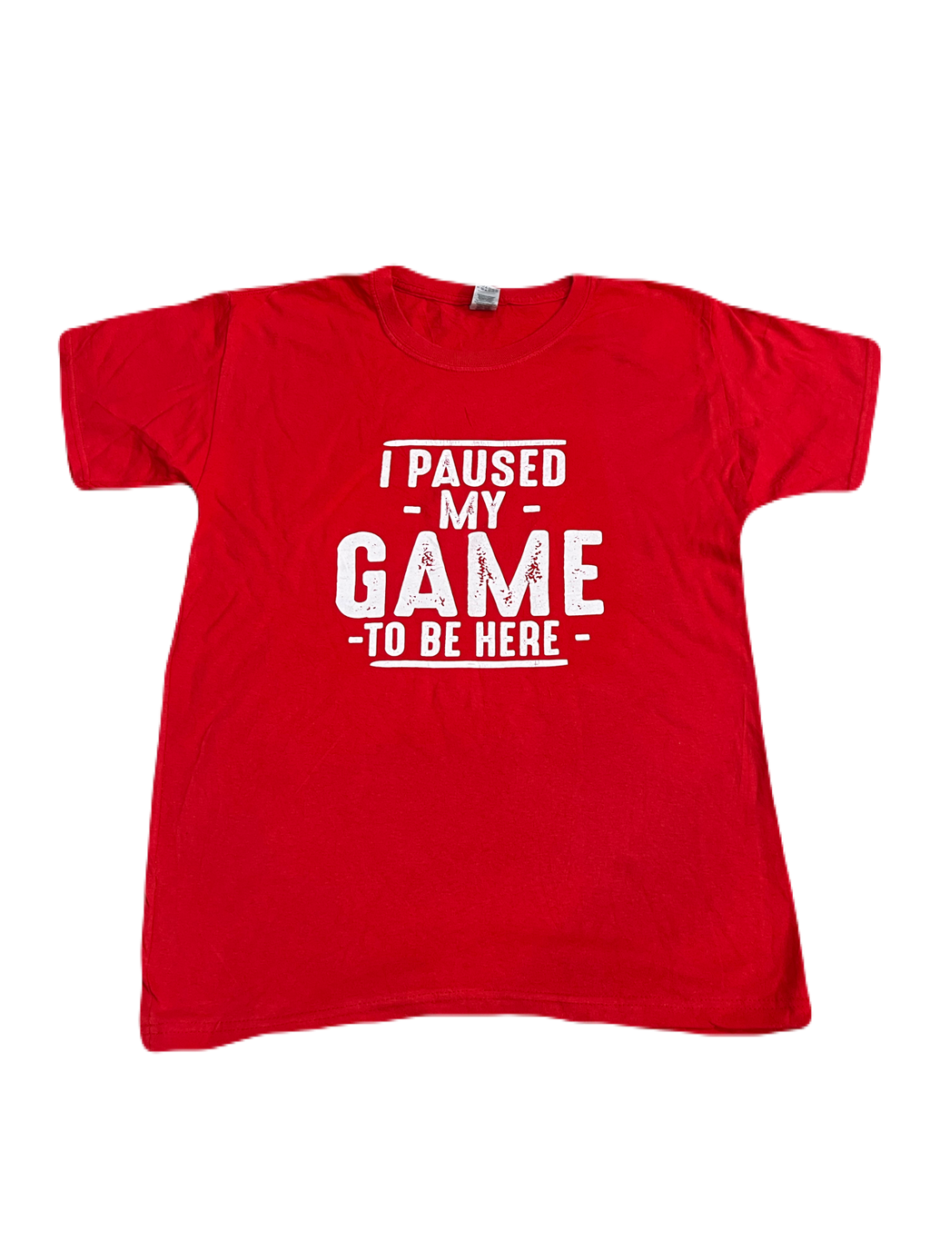 "I Paused My Game To Be Here" Tee (Medium - Large)