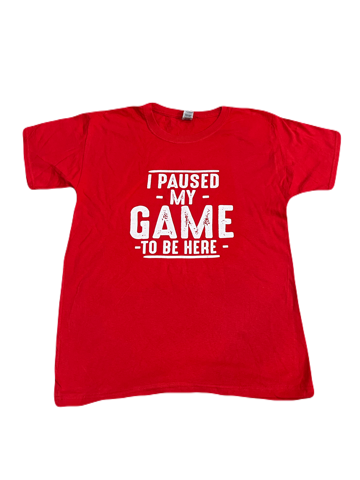 "I Paused My Game To Be Here" Tee (Medium - Large)