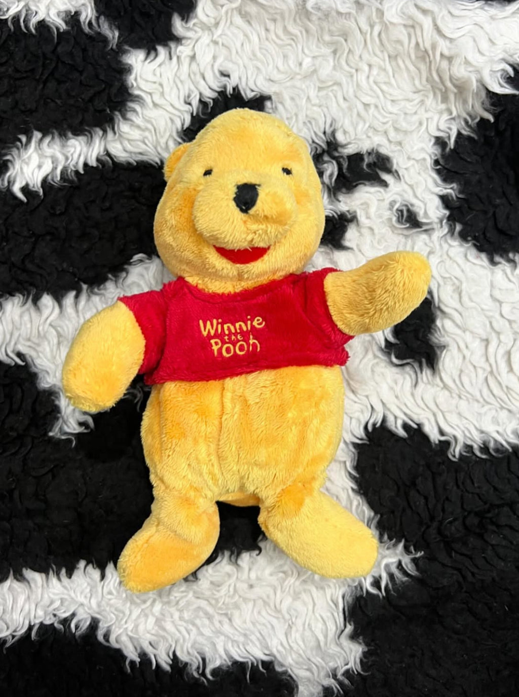 Winnie The Pooh Plush