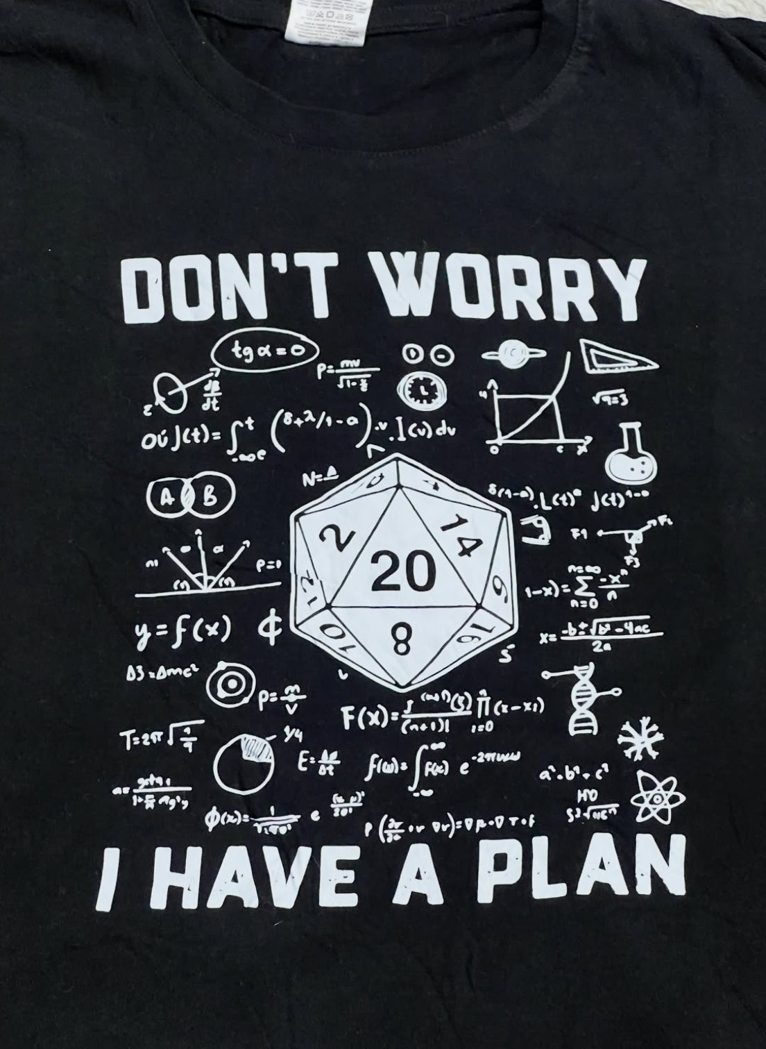 "Don't Worry, I have a Plan" Tee (Large)
