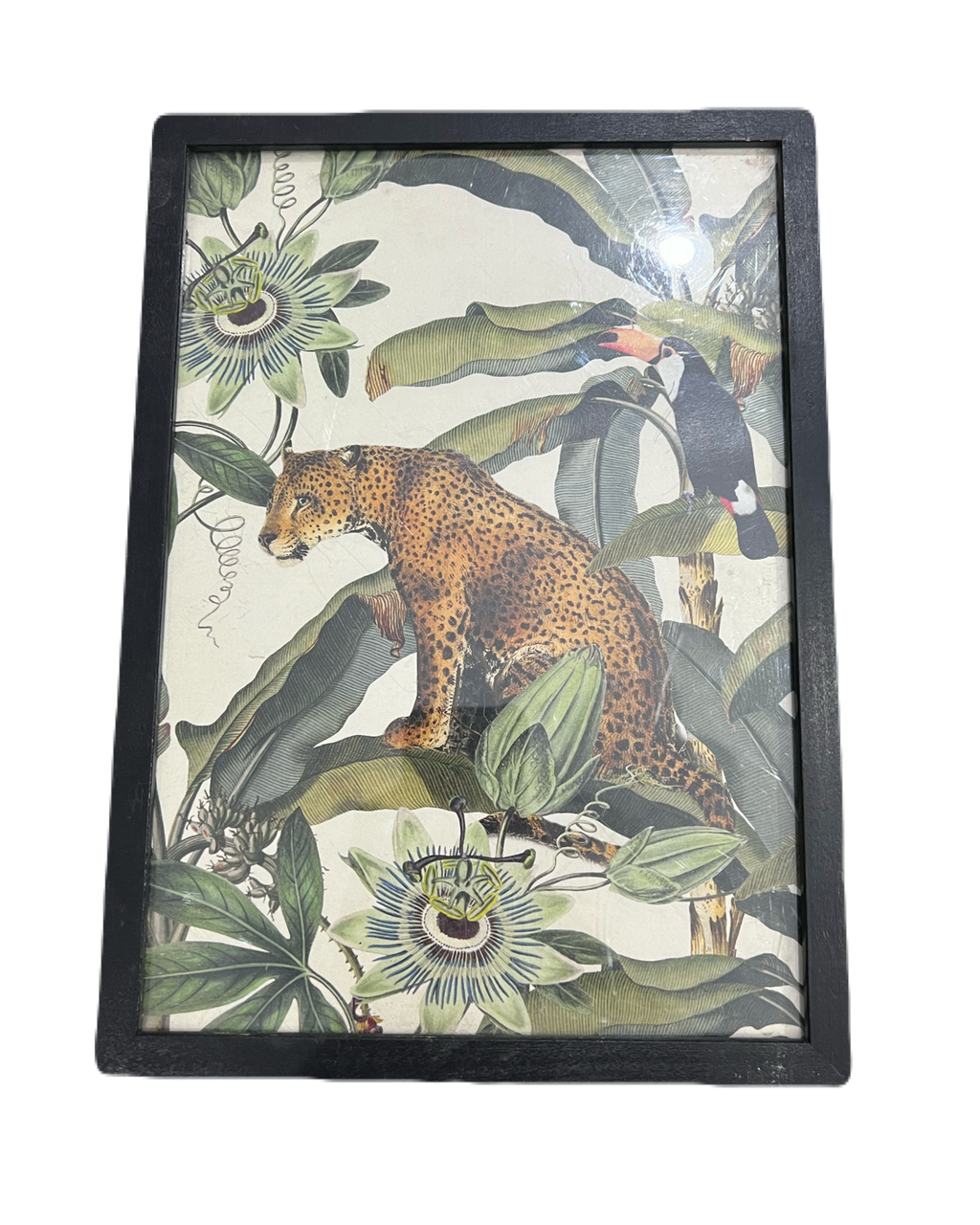 Soil&Co Exotic Leopard Frame