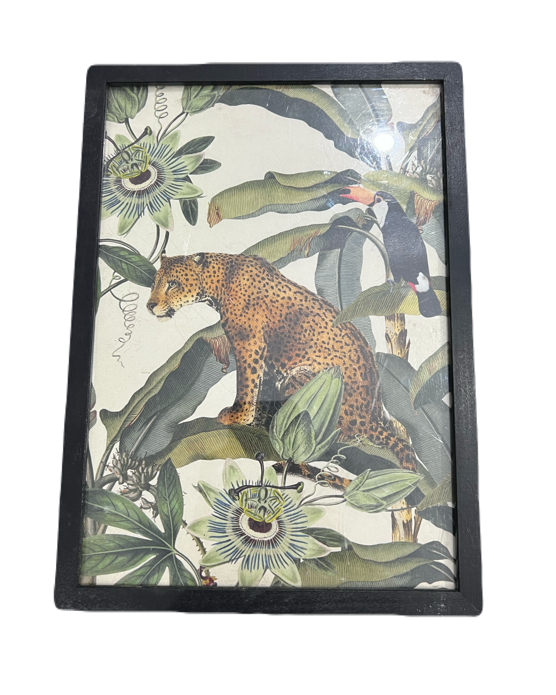 Soil&Co Exotic Leopard Frame
