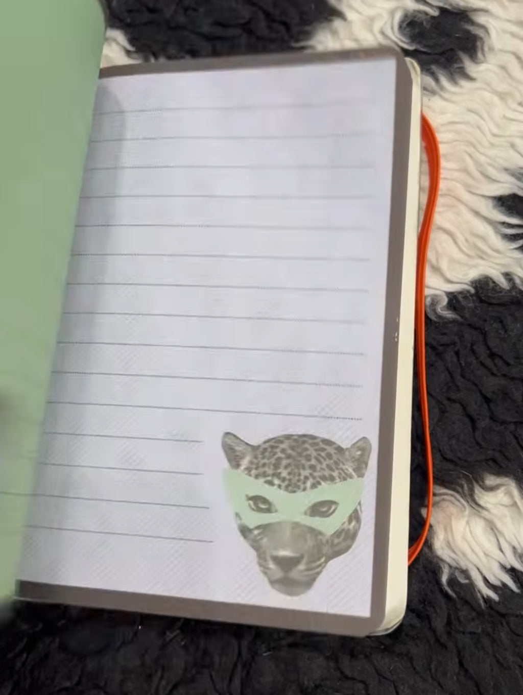 Cheetah in Mask Mini Journal