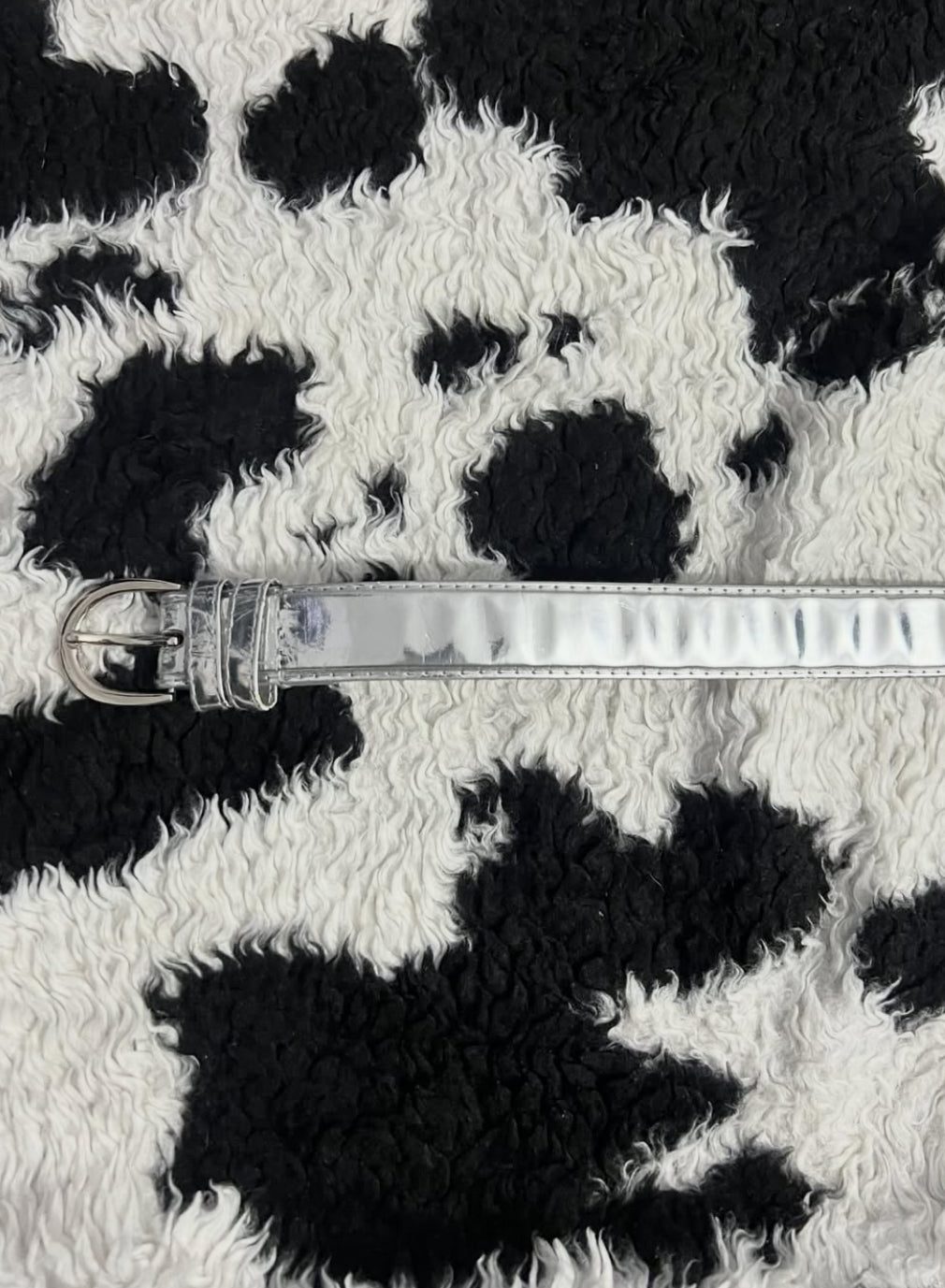Silver Narrow Belt