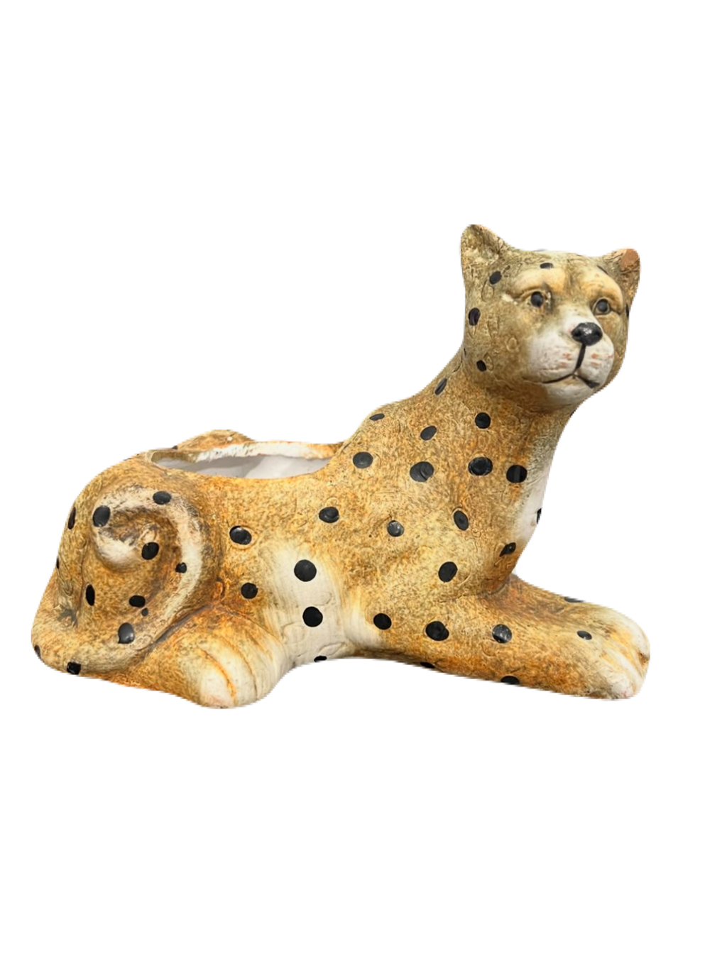 Cheetah Plant Plotter