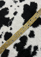 Golden Glitter Belt