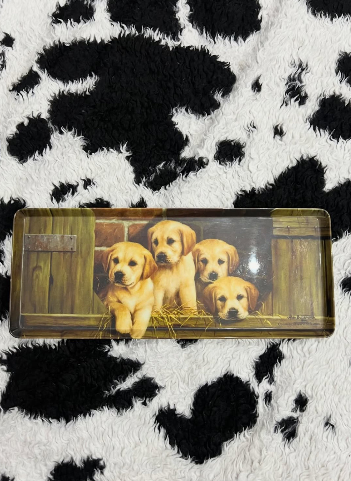 Alan Butterworth Long Dog Tray
