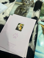 Kittens Cards Set of 20 Card