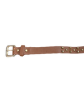 Brown Golden Studded Belt