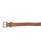 Brown Golden Studded Belt
