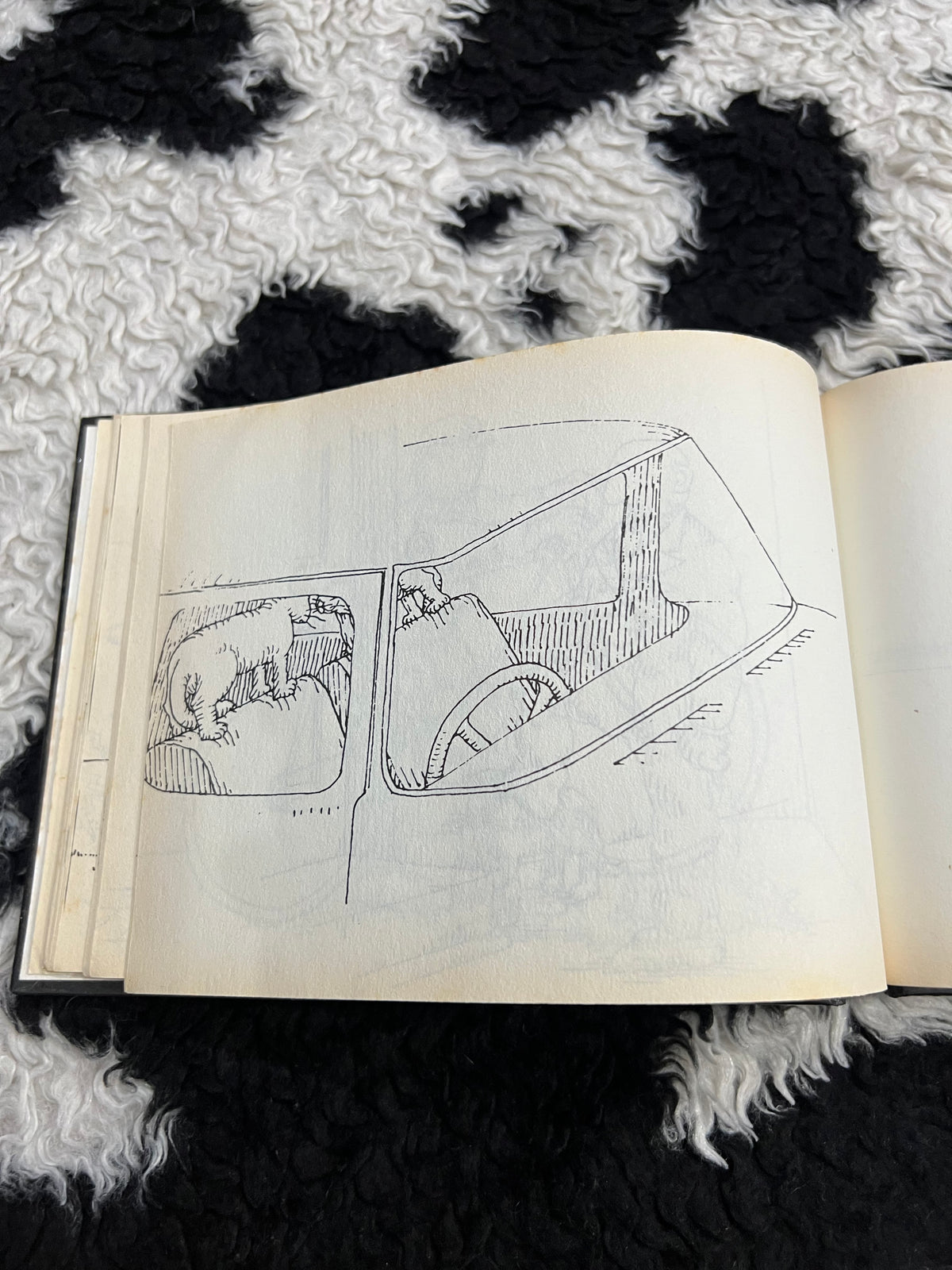 Vintage "Complete Used of a Dead Cat" Book