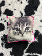 Kitty Graphic Pillow